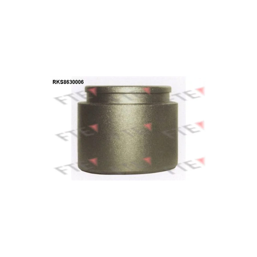 FTE Rks8630006 Piston, Brake Caliper