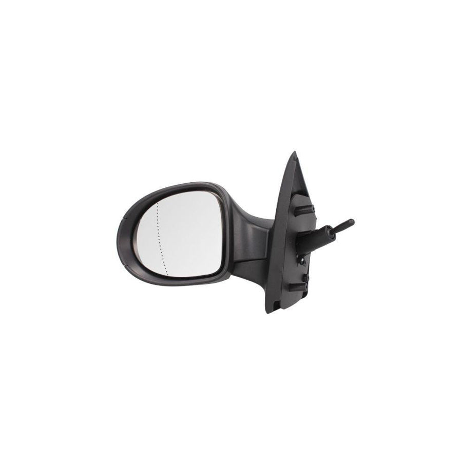 Blic 5402-09-2002219P Wing Mirror for Renault Twingo