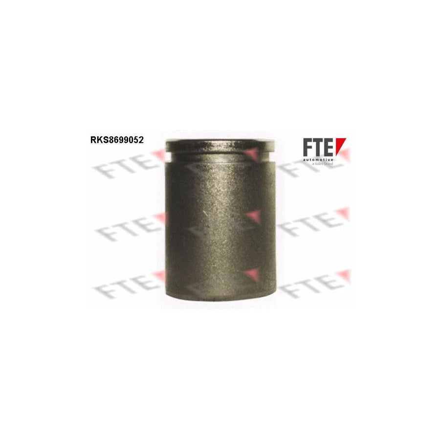 FTE 9313506 Piston, Brake Caliper