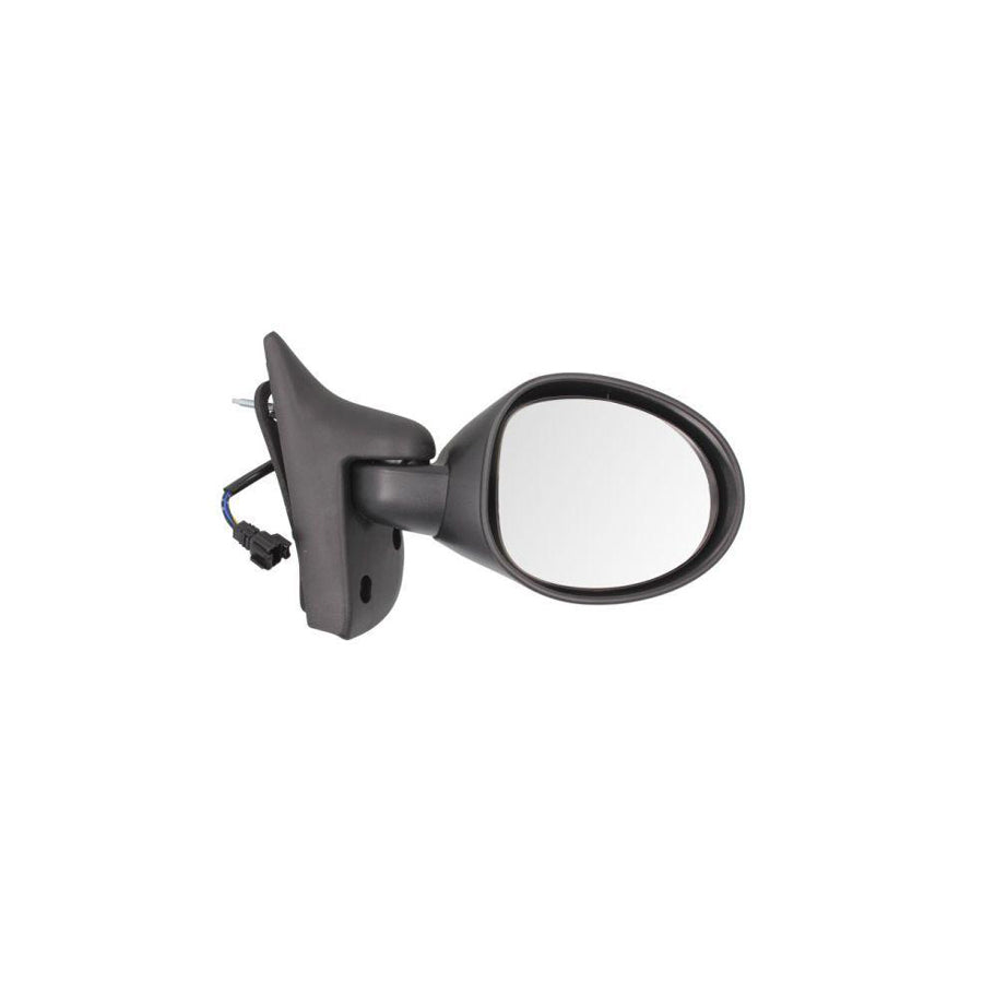 Blic 5402-09-2002216P Wing Mirror for Renault Twingo