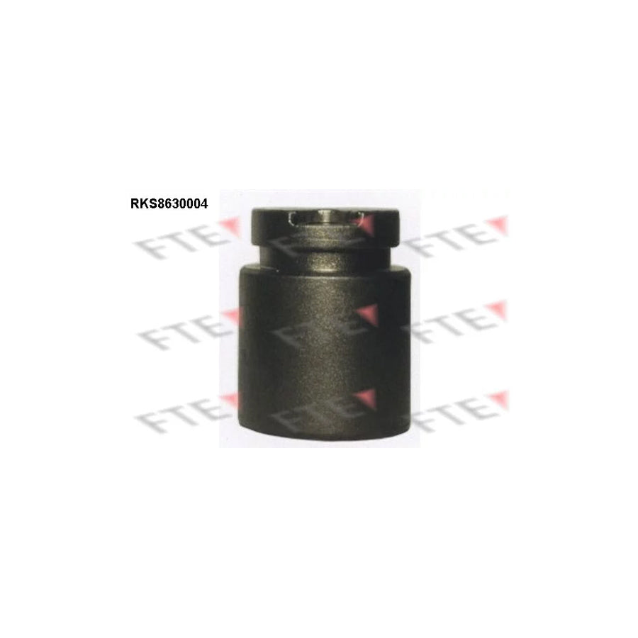 FTE Rks8630004 Piston, Brake Caliper
