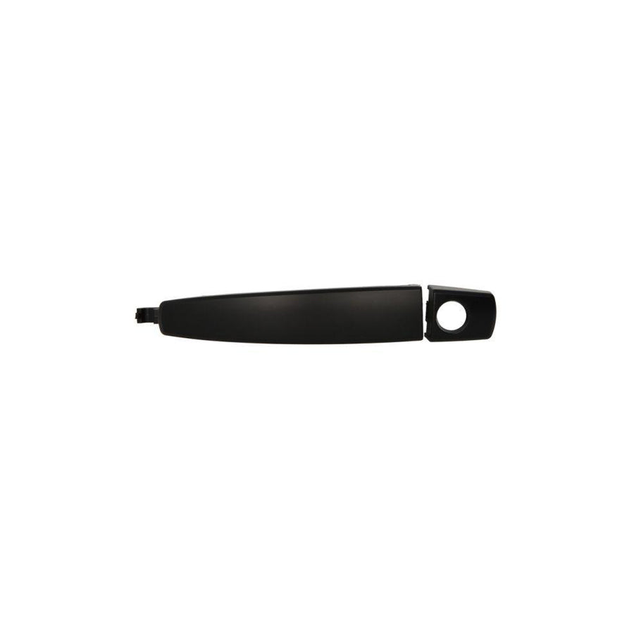 Blic 6010-04-042401P Door Handle