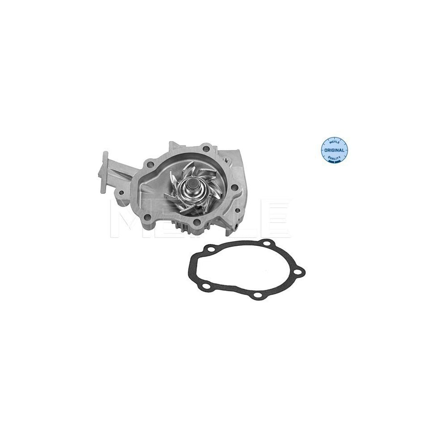 Meyle 29-13 220 0000 Water Pump