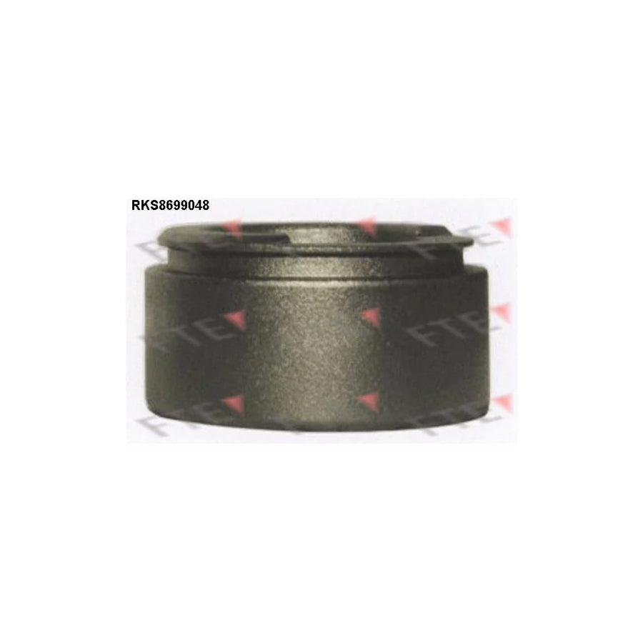 FTE 9313502 Piston, Brake Caliper