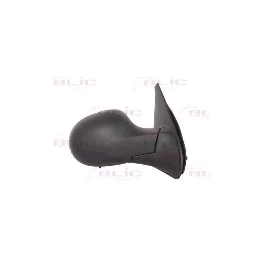 Blic 5402-09-2002212P Wing Mirror for Renault Symbol / Thalia II