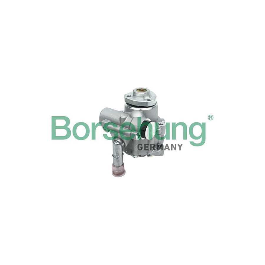 Borsehung B13213 Power Steering Pump