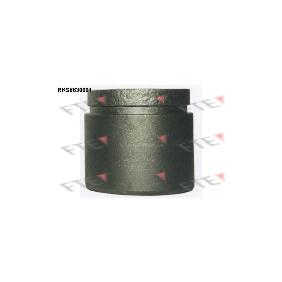 FTE Rks8630001 Piston, Brake Caliper