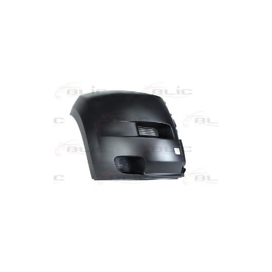 Blic 5510-00-2097910P Bumper