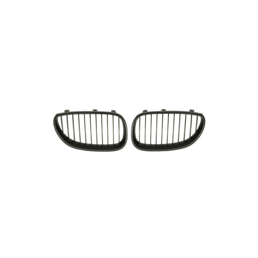 Blic 6502-07-0066991Kp Radiator Grille for BMW 5 Series