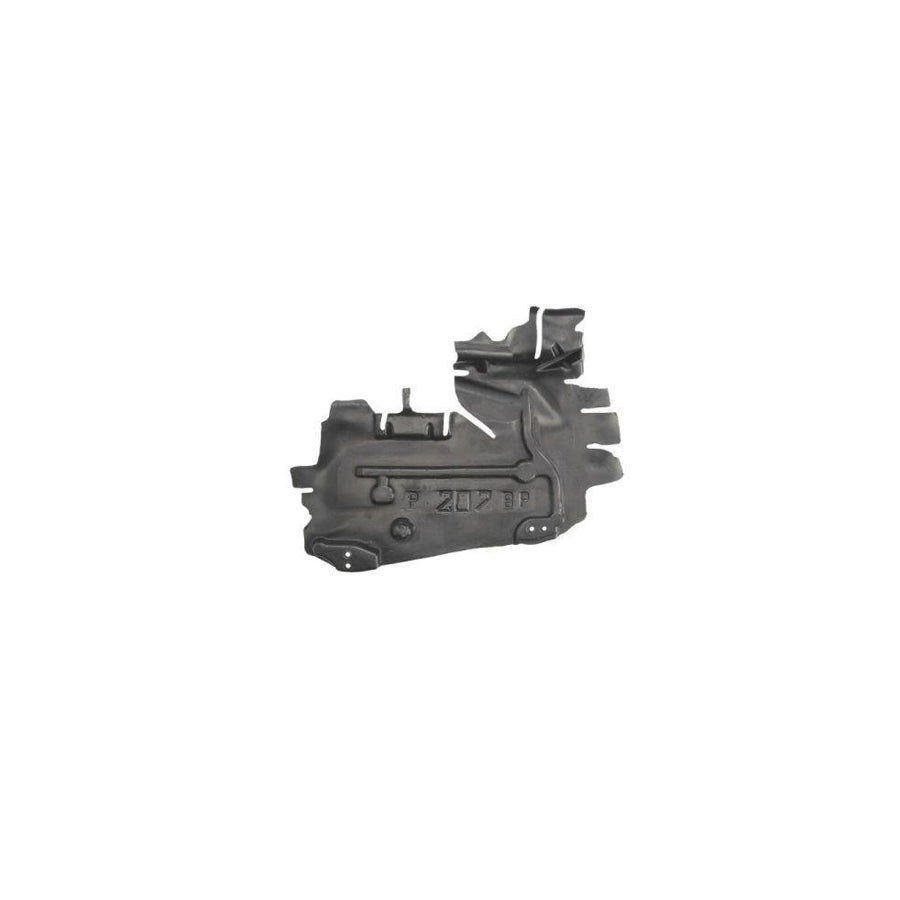 Blic 6601-02-5508872P Engine Cover for Peugeot 207