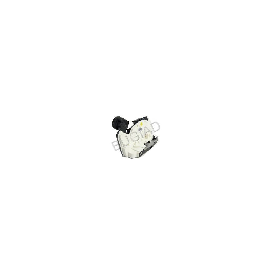 BUGIAD Bsp24391 Door Lock