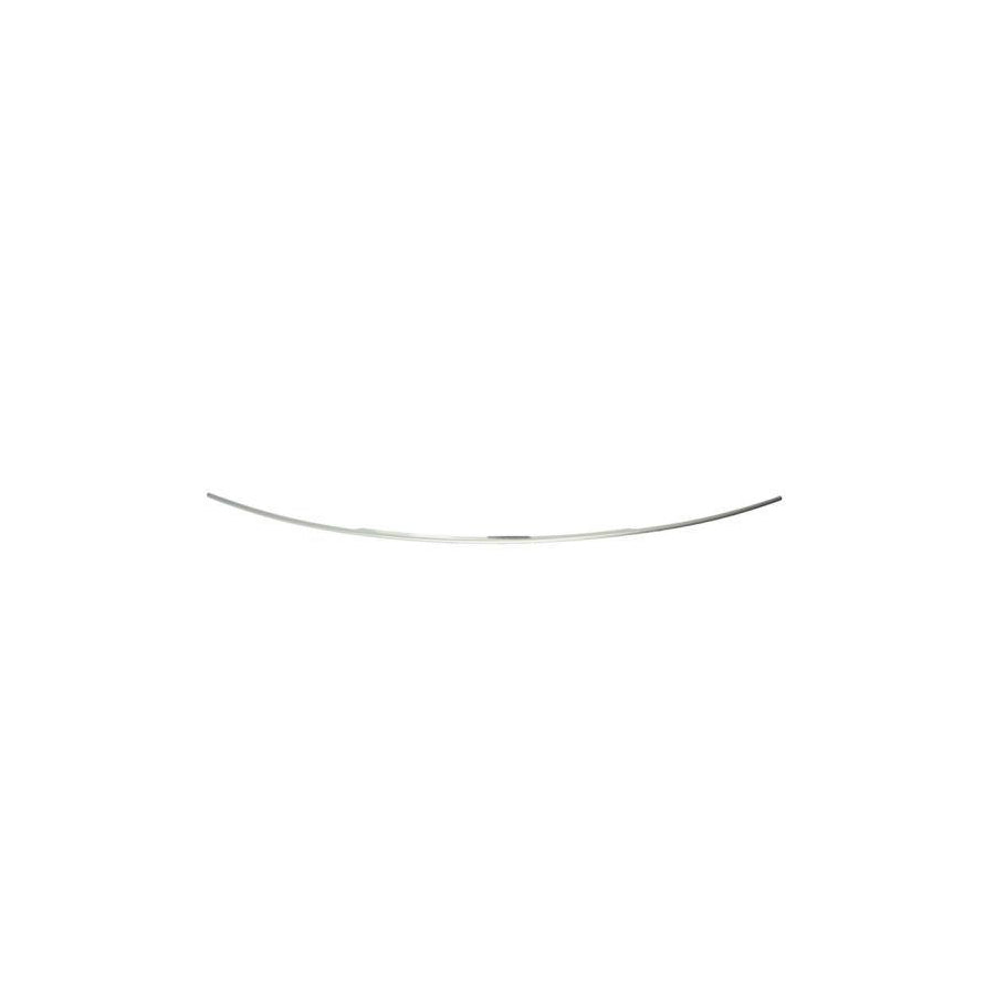 Blic 6502-07-0066920P Bumper Moulding for BMW 5 Series