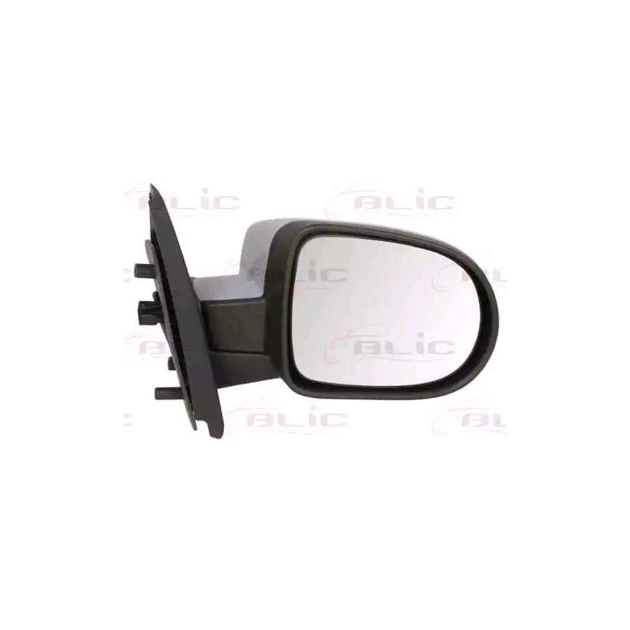 Blic 5402-09-2002238P Wing Mirror for Renault Twingo