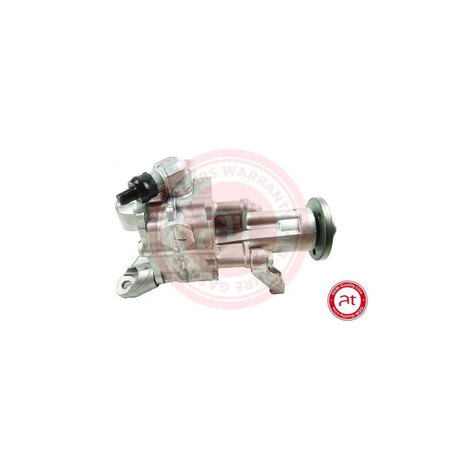 at autoteile germany At10789 Power Steering Pump for BMW X5 (E70)
