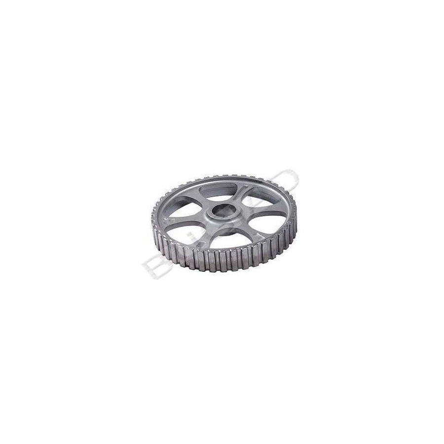 BUGIAD Bsp20731 Crankshaft Pulley