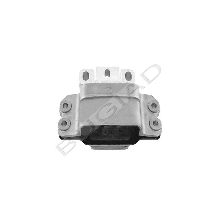 BUGIAD Bsp22290 Engine Mounting