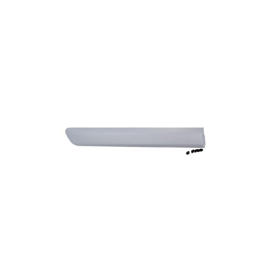 Blic 5703-04-2042578P Door Molding for Fiat Doblo