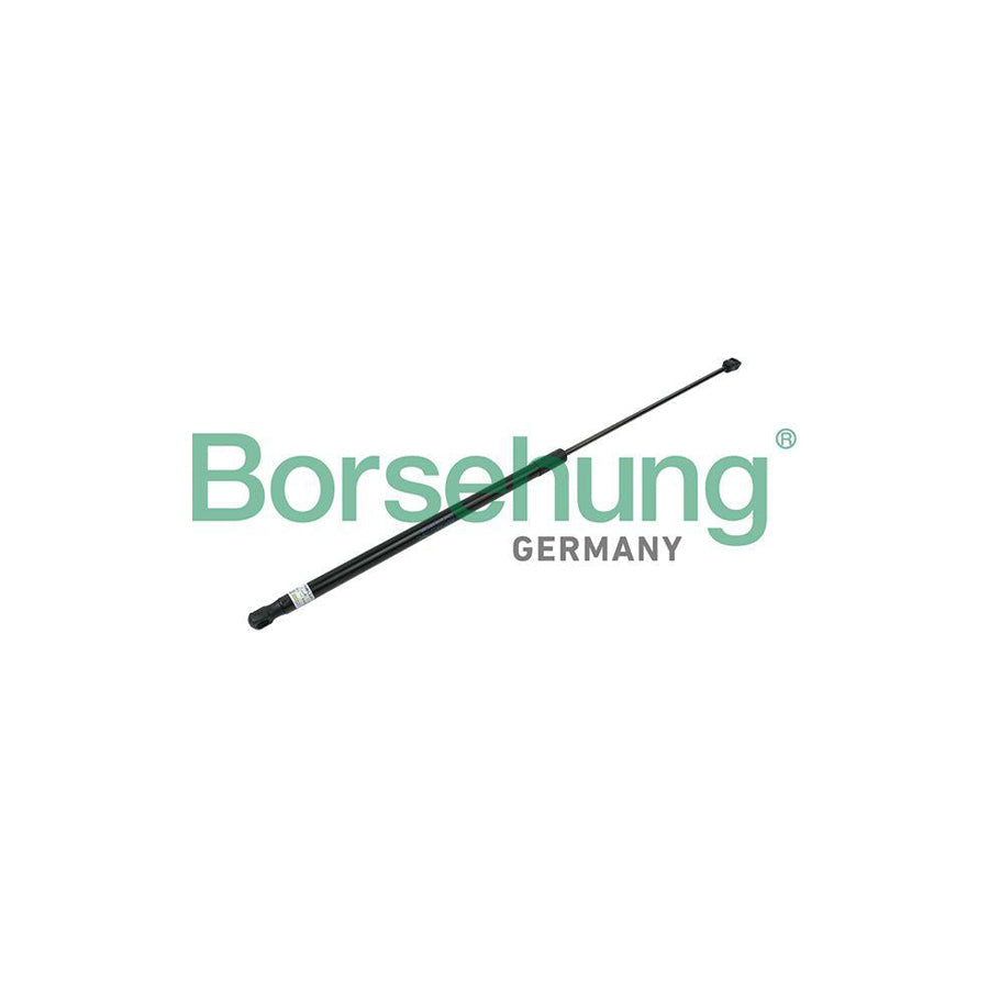 Borsehung B14197 Bonnet Strut for Skoda Superb