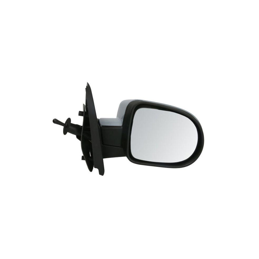 Blic 5402-09-2002234P Wing Mirror for Renault Twingo