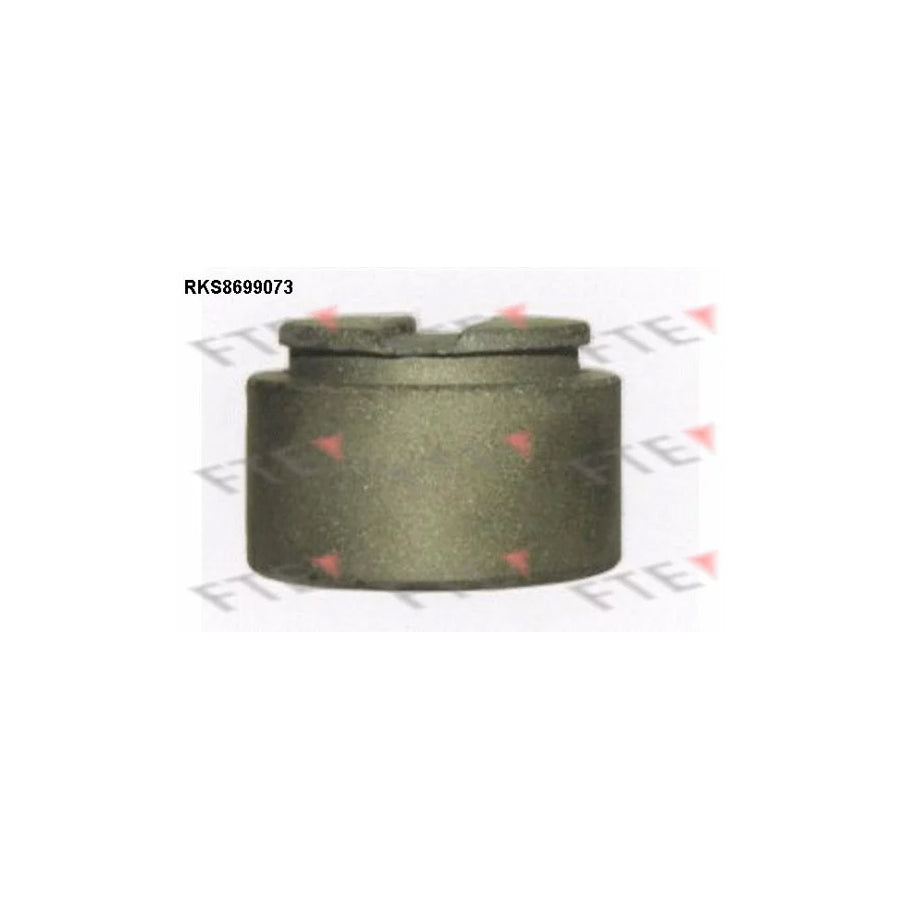 FTE 9313520 Piston, Brake Caliper