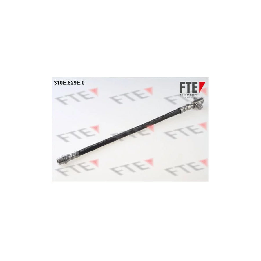 FTE 310E.829E.0 Brake Hose