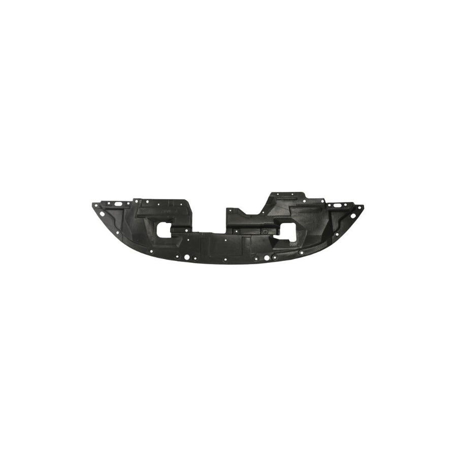 Blic 6601-02-5591880P Skid Plate for Peugeot 4007 (Vu, VV)
