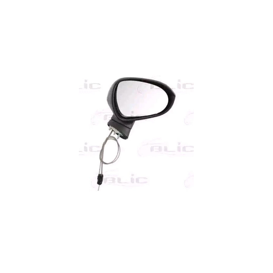Blic 5402-10-2002284P Wing Mirror for Seat Ibiza