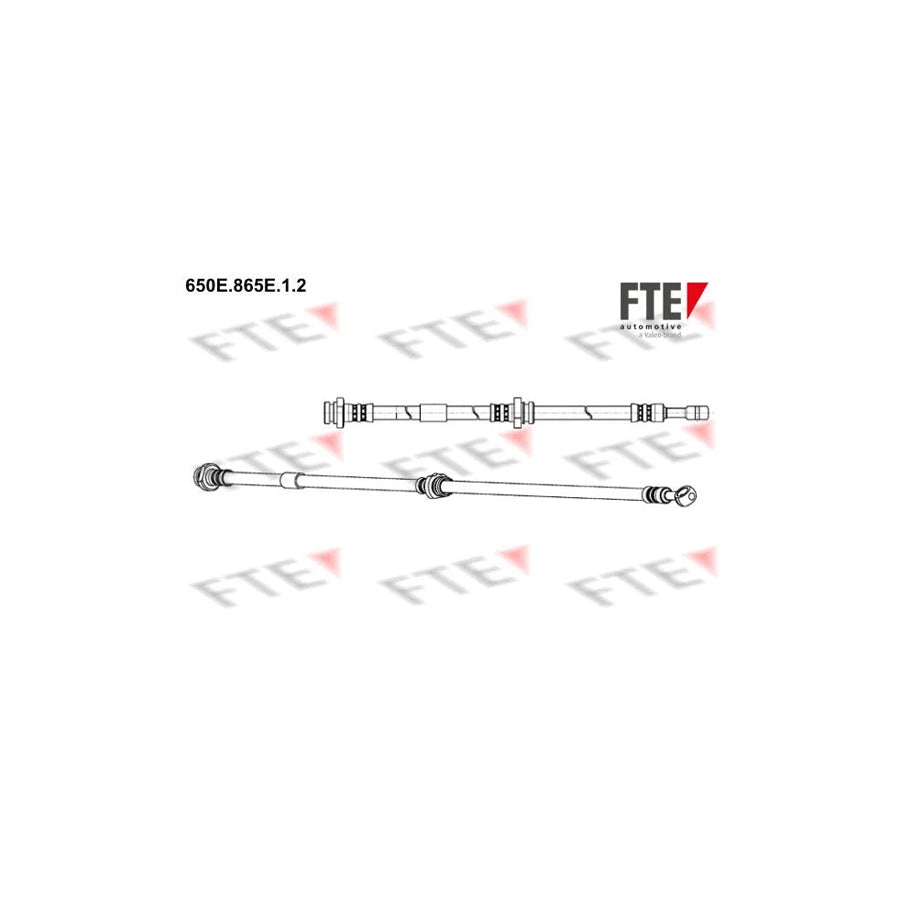 FTE 9240821 Brake Hose for Nissan Primera