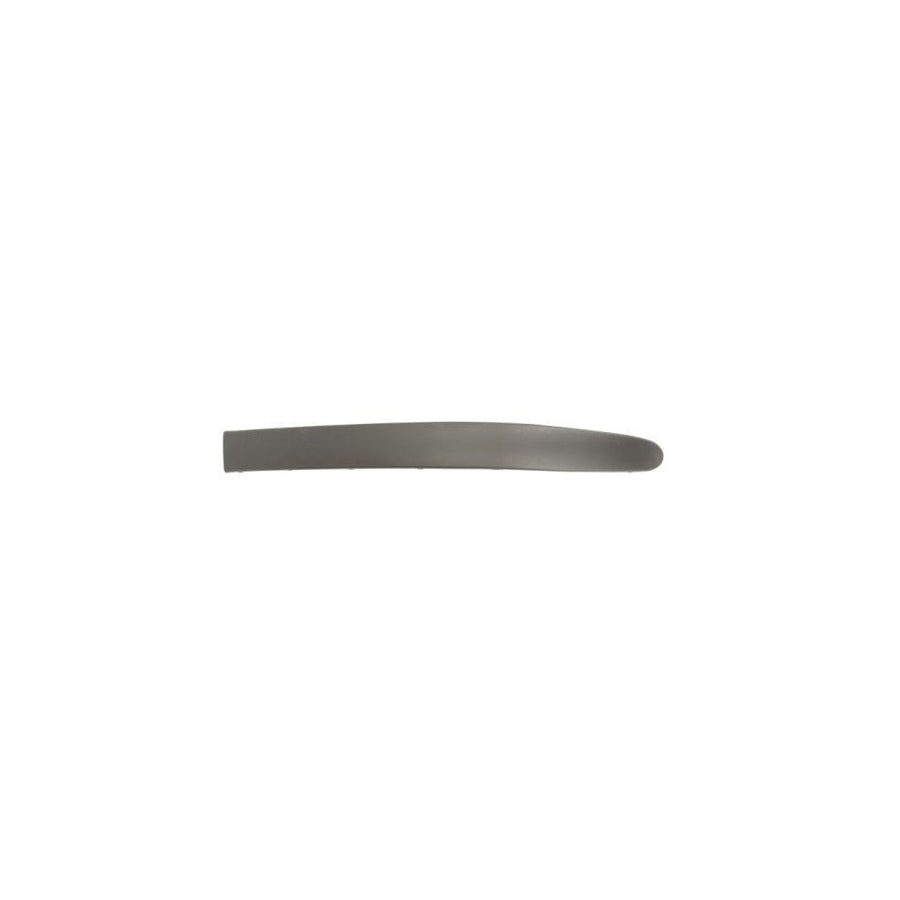 Blic 5703-05-6037923P Bumper Moulding for Renault Megane