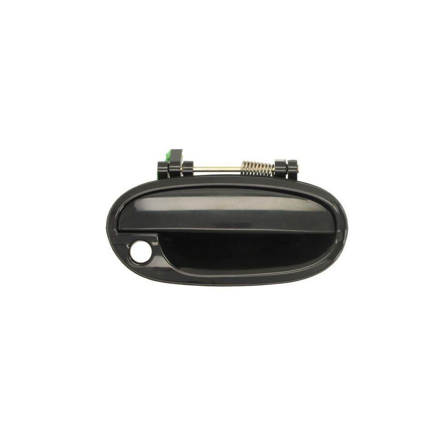Blic 6010-56-007402Pp Door Handle