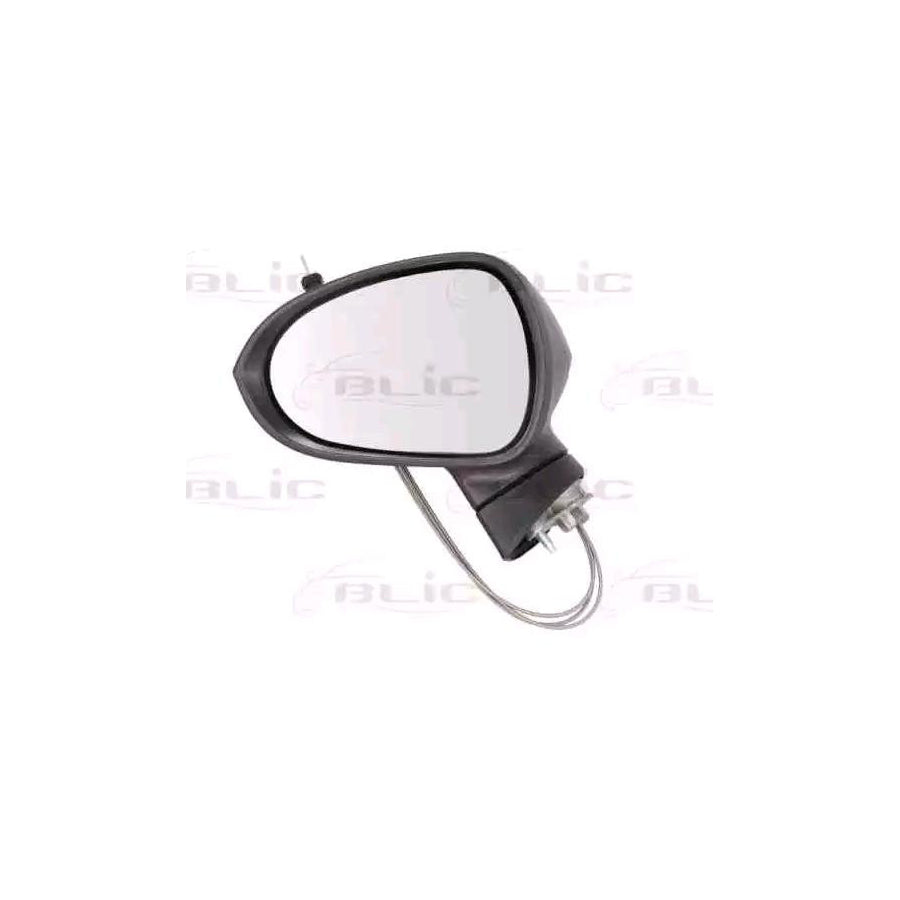 Blic 5402-10-2002283P Wing Mirror for Seat Ibiza