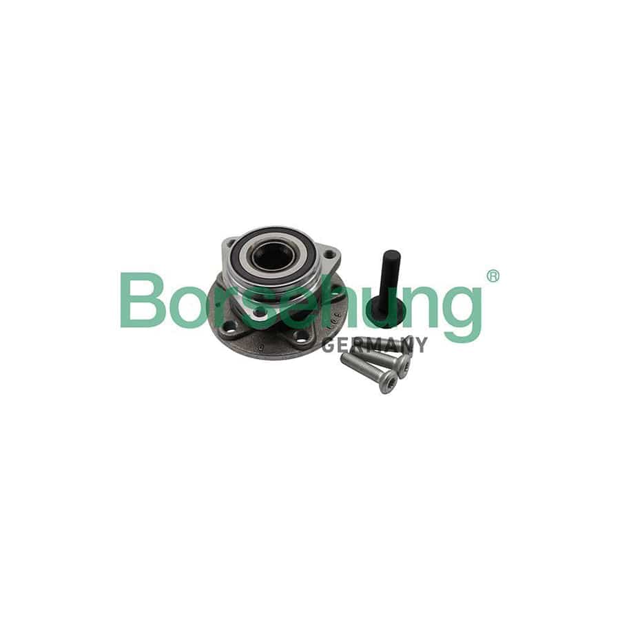 Borsehung B19311 Wheel Bearing Kit