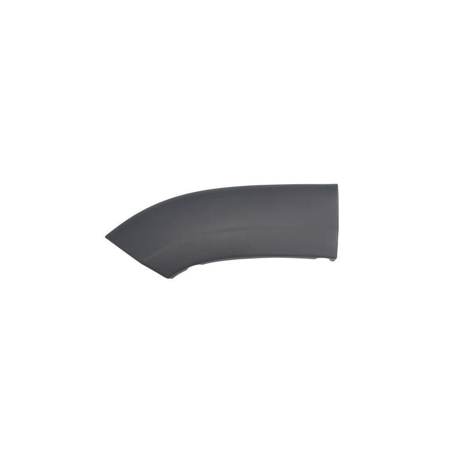 Blic 5703-04-2098471P Trim / Protective Strip, Mudguard