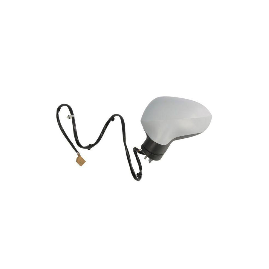 Blic 5402-10-2002281P Wing Mirror for Seat Exeo
