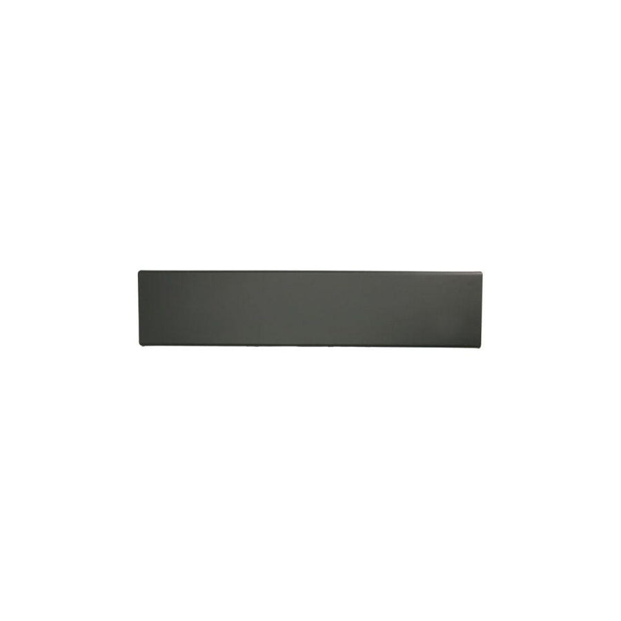 Blic 5703-04-2097583P Door Molding
