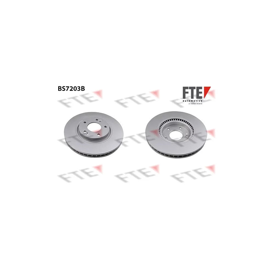 FTE Bs7203B Brake Disc