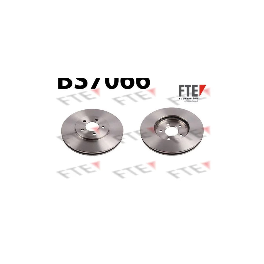 FTE 9072374 Brake Disc