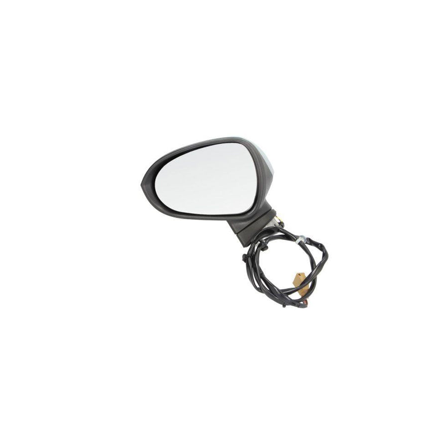 Blic 5402-10-2002279P Wing Mirror for Seat Exeo