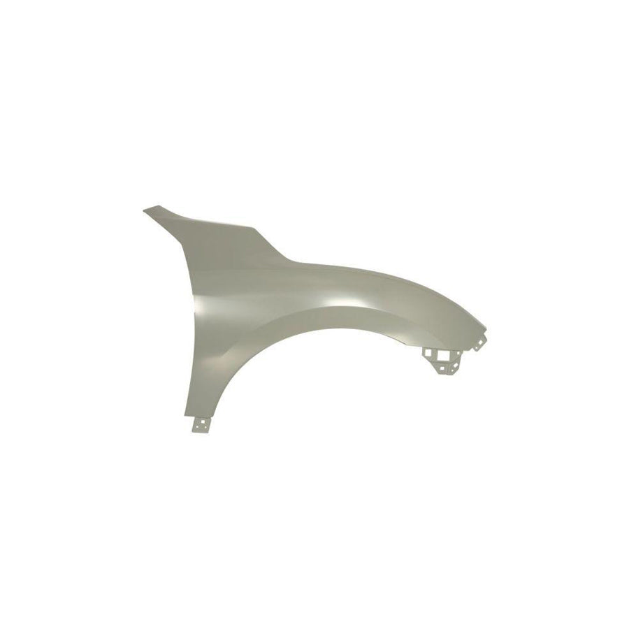 Blic 6504-04-2914312P Wing Fender for Honda CIVIC X Hatchback (Fc,Fk)
