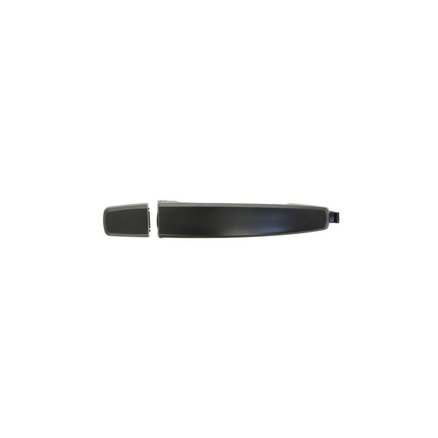 Blic 6010-56-005406P Door Handle