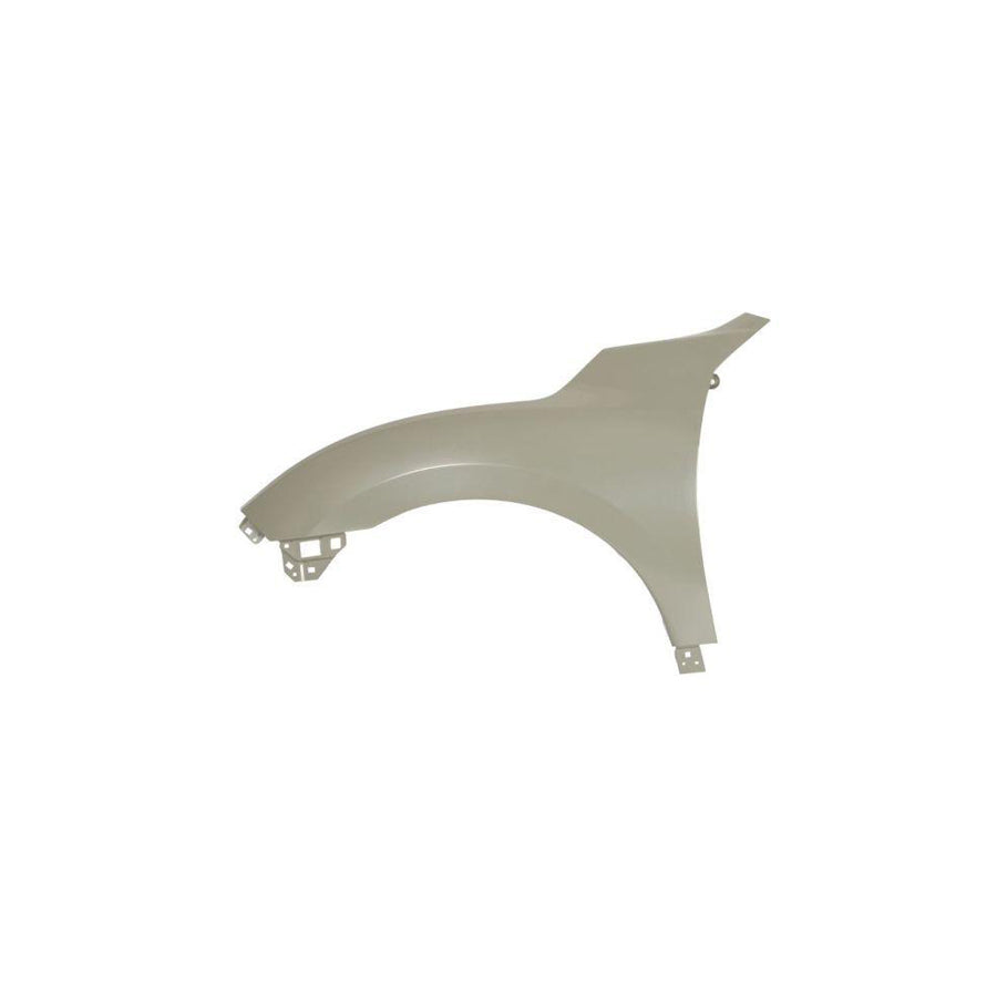 Blic 6504-04-2914311P Wing Fender for Honda CIVIC X Hatchback (Fc,Fk)