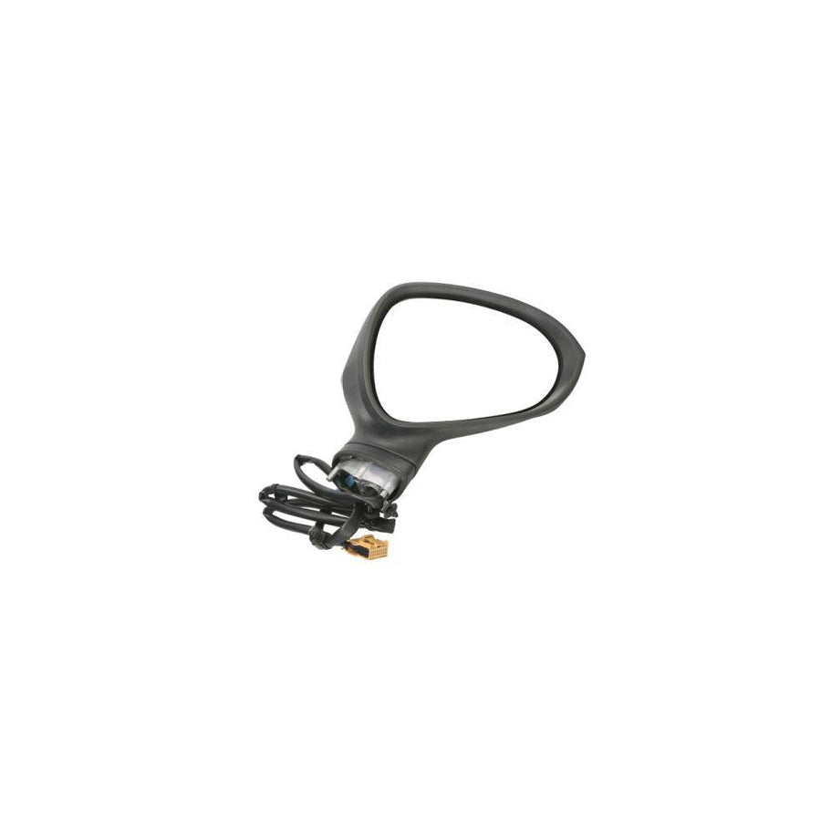 Blic 5402-10-2002278P Wing Mirror for Seat Exeo