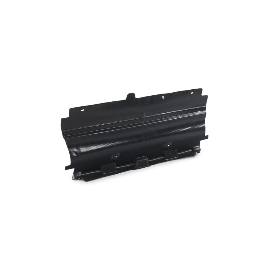 Blic 6601-02-5537880P Engine Cover for Peugeot 407