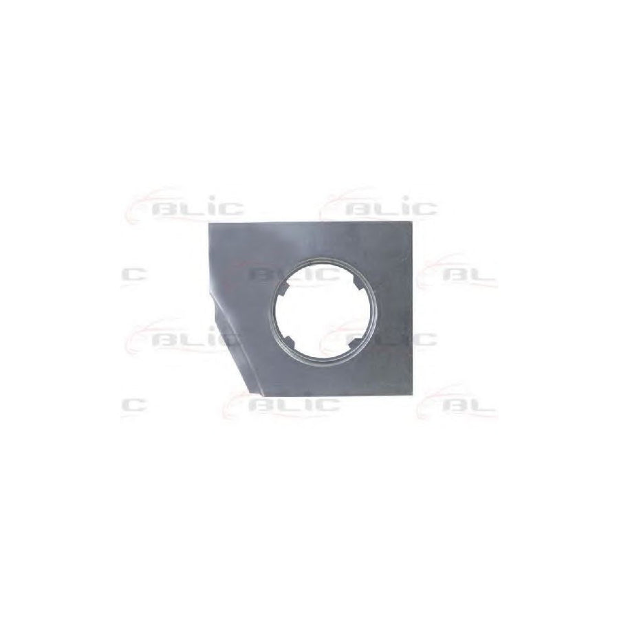 Blic 6508-02-2505522P Sidewall