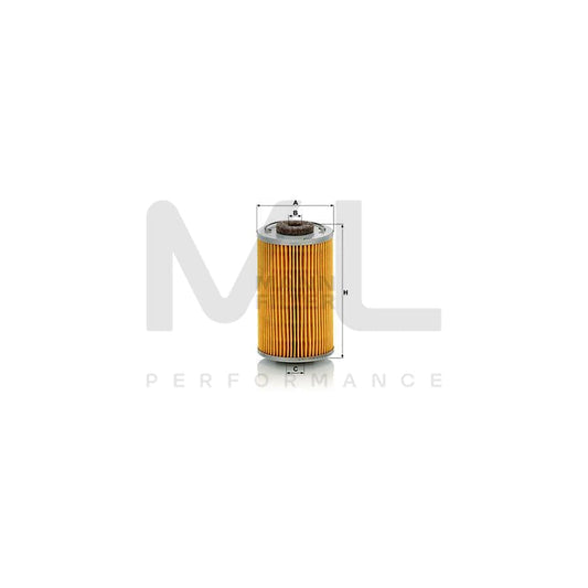 MANN-FILTER P 707 n Fuel filter with seal