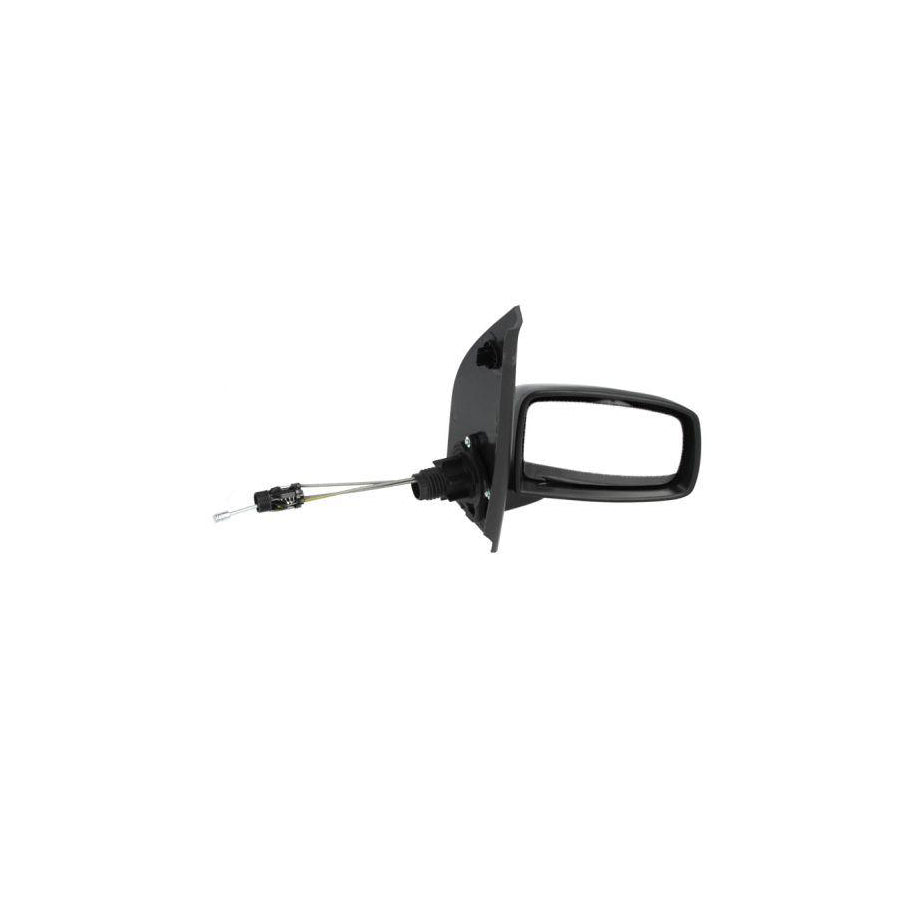 Blic 5402-04-1115910P Wing Mirror for Fiat Panda II Hatchback (169)