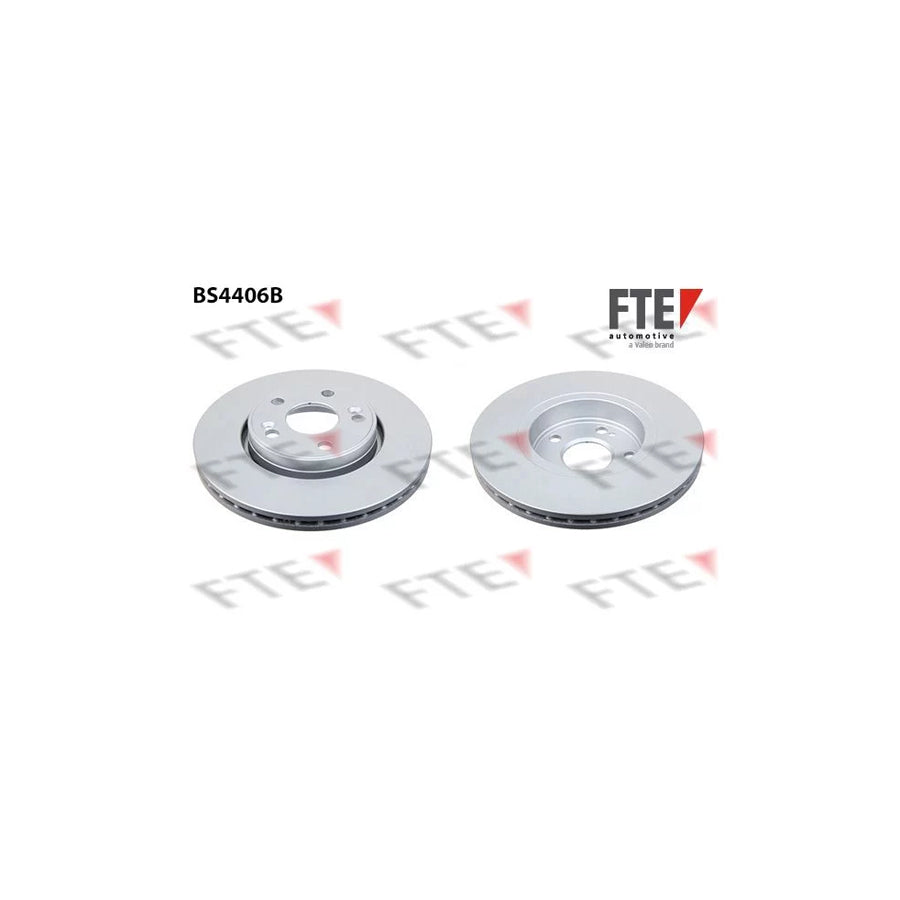FTE Bs4406B Brake Disc