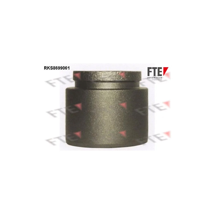 FTE 9313513 Piston, Brake Caliper