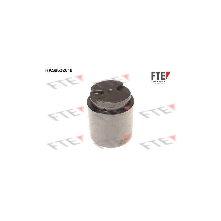 FTE Rks8632018 Piston, Brake Caliper