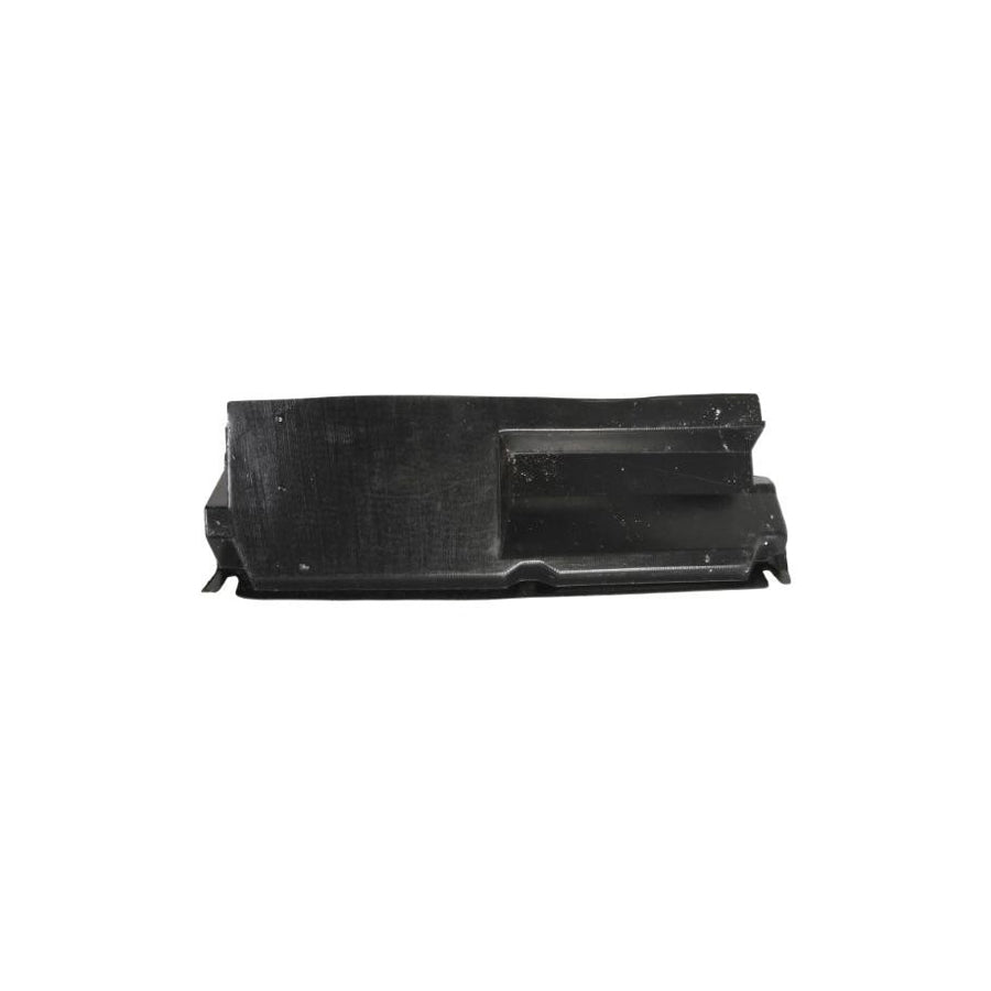 Blic 6601-02-6036880P Skid Plate for Renault 19